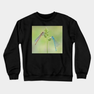 Large Red and Azure Damselflies on a Grass Stalk Crewneck Sweatshirt